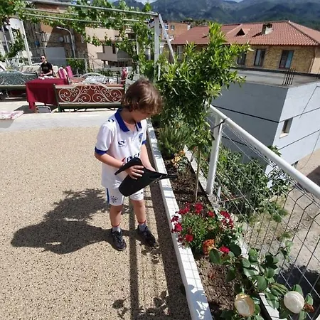 بيت ضيافة Ilir 1 3*