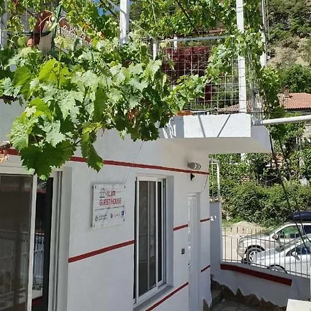 Ilir 1 * Përmet