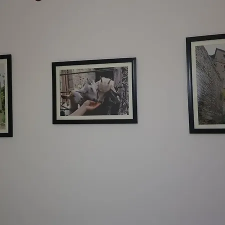 Ilir 1 3* Përmet